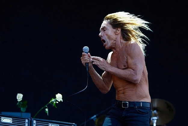 Iggy Pop and the Stooges Iggy Pop and the Stooges