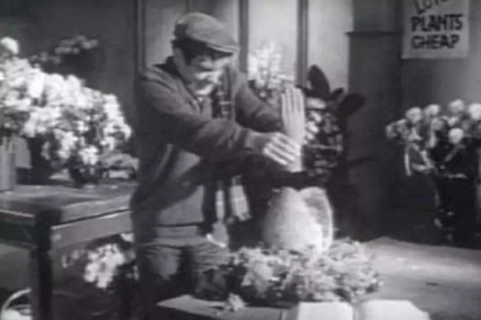 It Came From the Cultosphere: Roger Corman’s No-Budget ‘Little Shop of Horrors’